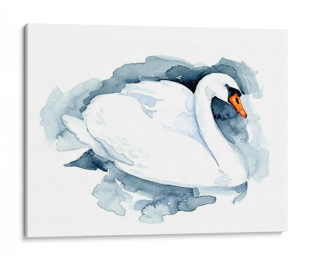 Silverlake Swan I - W. Rutledge | Cuadro decorativo de Canvas Lab