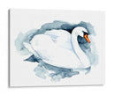 Silverlake Swan I - W. Rutledge | Cuadro decorativo de Canvas Lab
