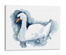 Silverlake Swan Ii - W. Rutledge | Cuadro decorativo de Canvas Lab
