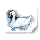 Silverlake Swan Ii - W. Rutledge | Cuadro decorativo de Canvas Lab