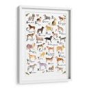 Alfabeto De Perro - Melissa Wang | Cuadro decorativo de Canvas Lab