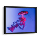 Medusa magenta | Cuadro decorativo de Canvas Lab