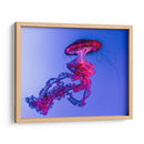 Medusa magenta | Cuadro decorativo de Canvas Lab