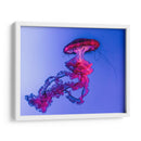 Medusa magenta | Cuadro decorativo de Canvas Lab