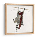 Rascally Mapache I - Susan Savory | Cuadro decorativo de Canvas Lab