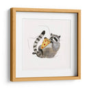 Rascally Raccoon Ii - Susan Savory | Cuadro decorativo de Canvas Lab