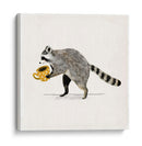 Rascally Raccoon Iii - Susan Savory | Cuadro decorativo de Canvas Lab