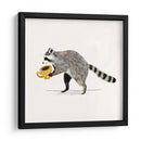 Rascally Raccoon Iii - Susan Savory | Cuadro decorativo de Canvas Lab