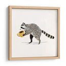 Rascally Raccoon Iii - Susan Savory | Cuadro decorativo de Canvas Lab