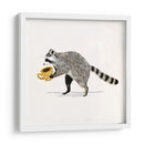 Rascally Raccoon Iii - Susan Savory | Cuadro decorativo de Canvas Lab