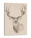 Buck Natural Ii - Jacob Green | Cuadro decorativo de Canvas Lab