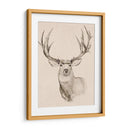 Buck Natural Ii - Jacob Green | Cuadro decorativo de Canvas Lab
