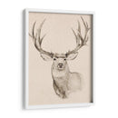Buck Natural Ii - Jacob Green | Cuadro decorativo de Canvas Lab