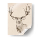 Buck Natural Ii - Jacob Green | Cuadro decorativo de Canvas Lab