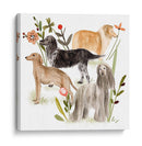 Un Pequeño Paseo Ii - Melissa Wang | Cuadro decorativo de Canvas Lab