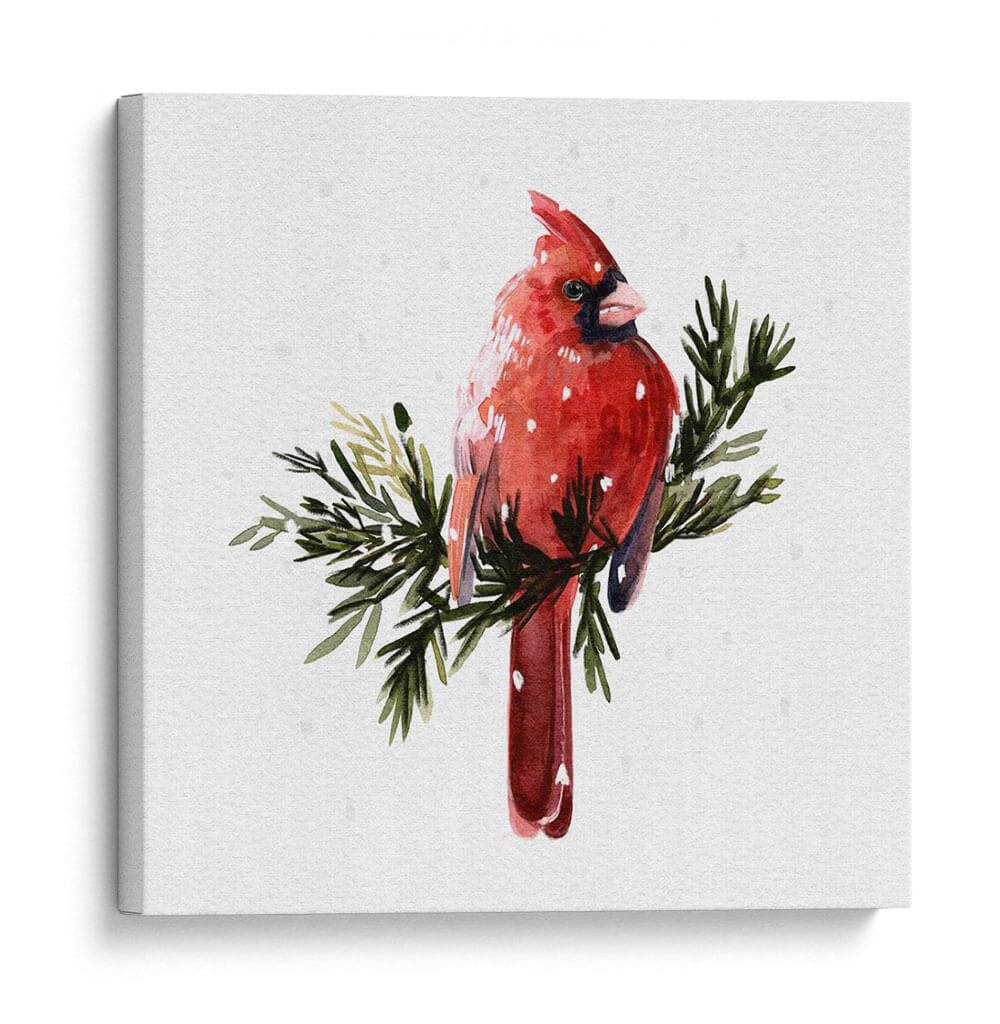 Cardenal Con Nieve I - Gerard Paul Deshayes | Cuadro decorativo de Canvas Lab