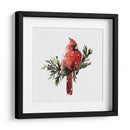 Cardenal Con Nieve I - Gerard Paul Deshayes | Cuadro decorativo de Canvas Lab