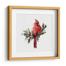 Cardenal Con Nieve I - Gerard Paul Deshayes | Cuadro decorativo de Canvas Lab