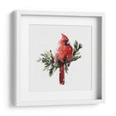 Cardenal Con Nieve I - Gerard Paul Deshayes | Cuadro decorativo de Canvas Lab