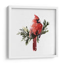 Cardenal Con Nieve I - Gerard Paul Deshayes | Cuadro decorativo de Canvas Lab