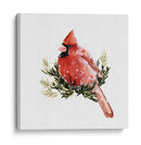 Cardenal Con Nieve Ii - Gerard Paul Deshayes | Cuadro decorativo de Canvas Lab