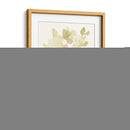 Los Pétalos Más Suaves Que - Jennifer Goldberger | Cuadro decorativo de Canvas Lab