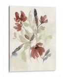 Composición De Flores Polvorientas I - Jennifer Goldberger | Cuadro decorativo de Canvas Lab