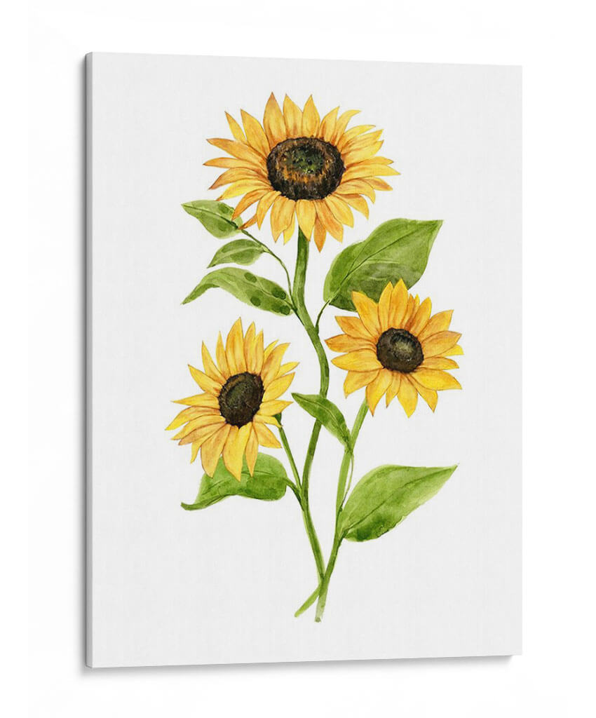 Girasol Trio Ii - Jacob Green | Cuadro decorativo de Canvas Lab