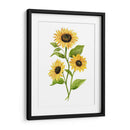 Girasol Trio Ii - Jacob Green | Cuadro decorativo de Canvas Lab