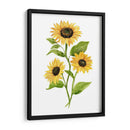 Girasol Trio Ii - Jacob Green | Cuadro decorativo de Canvas Lab