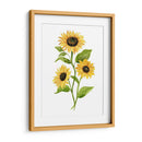 Girasol Trio Ii - Jacob Green | Cuadro decorativo de Canvas Lab