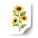 Girasol Trio Ii - Jacob Green | Cuadro decorativo de Canvas Lab