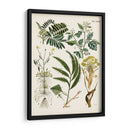 Helechos Fantasios I | Cuadro decorativo de Canvas Lab
