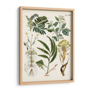 Helechos Fantasios I | Cuadro decorativo de Canvas Lab