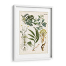 Helechos Fantasios I | Cuadro decorativo de Canvas Lab