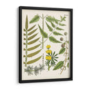 Fernos Fernos Ii | Cuadro decorativo de Canvas Lab