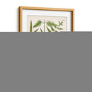 Fernos Fernos Ii | Cuadro decorativo de Canvas Lab