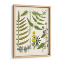 Fernos Fernos Ii | Cuadro decorativo de Canvas Lab