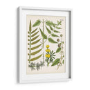 Fernos Fernos Ii | Cuadro decorativo de Canvas Lab