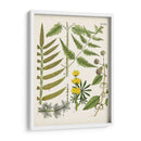 Fernos Fernos Ii | Cuadro decorativo de Canvas Lab
