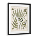 Fernos Ferns Iii | Cuadro decorativo de Canvas Lab