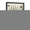 Fernos Ferns Iii | Cuadro decorativo de Canvas Lab