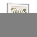 Fernos Ferns Iii | Cuadro decorativo de Canvas Lab