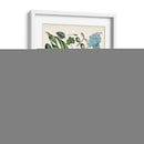 Fernos Fernos Iv | Cuadro decorativo de Canvas Lab
