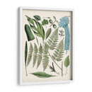 Fernos Fernos Iv | Cuadro decorativo de Canvas Lab