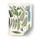Fernos Fernos Iv | Cuadro decorativo de Canvas Lab