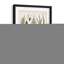 Fantrifus Ferns V | Cuadro decorativo de Canvas Lab