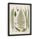 Fantrifus Ferns V | Cuadro decorativo de Canvas Lab