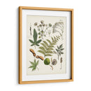 Fernos Ferns Vi | Cuadro decorativo de Canvas Lab