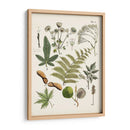 Fernos Ferns Vi | Cuadro decorativo de Canvas Lab